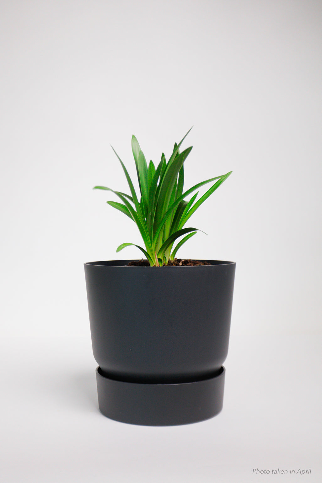 products/SotoProductShootLowQ-2022.jpg